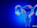 男用雌激素多久可完成不可逆转的—雌激素之惑：男性变身的奥秘