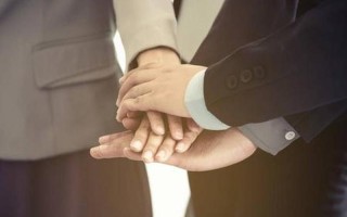 携手共进：伙伴关系的众多面孔