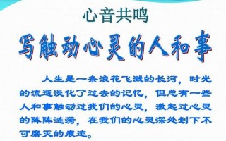 探索心灵共鸣：揭秘爱上一个人的原因