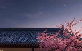 我喜欢吃你的花蜜是什么歌—蜜语甜言诉衷情，花香萦绕心陶醉