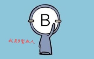 什么形的B好玩_探索B形乐趣：B形百变妙用