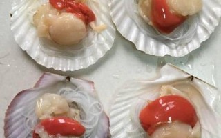 宝贝腿张大点就能吃到扇贝了(宝贝张大嘴巴，扇贝美味等着你)