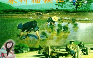 30张情侣插秧法图片，解锁春耕无限乐趣