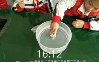 抽吸速度与叫声音量之间的惊人关联：揭示背后的科学奥秘
