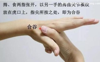 合谷穴位位置图—合谷穴位位置图鉴：解锁止痛、醒脑、健脾的穴位魔法