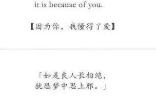 晴空下的百次告白：真爱不言弃，追爱永不止息