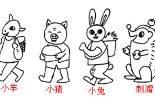 以后面进入和前面有别：从前到后的差异对比