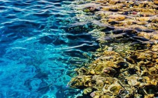 水量大小与男性偏好：一个水深水浅的探讨
