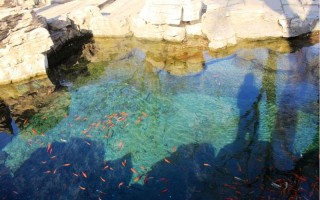 泉水嬉戏之妙道：从岸边到水中央
