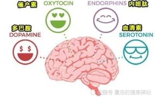 多巴胺、血清素、内啡肽遗失：大脑化学失衡的信号