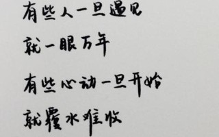 一眼便知，余生不复