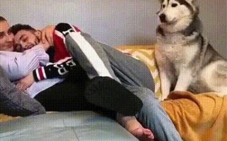 动作gif后人试动态图(动态影像，诠释无穷可能，动画图谱，定格瞬间奇迹)