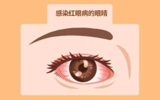 为什么爽的时候眼睛是往上的呢—眼上翻，妙不可言：揭秘爽时的生理反应