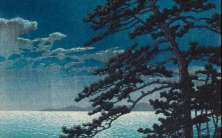 夜色如墨，渴望如火：湿润不可言说的诱惑