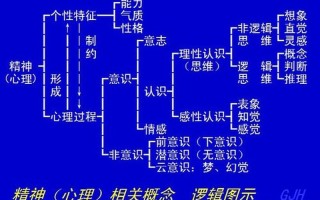感性和理性的区别(感性与理性：情感与逻辑的交锋)