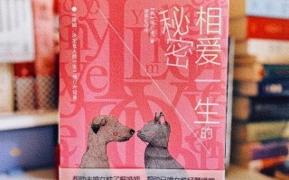 成年人不懂如何恋爱_当成年人遭遇恋爱盲区：相爱难题一百问