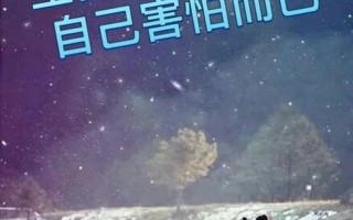 外表坚强内心脆弱(脆弱的内在，坚毅的外壳)