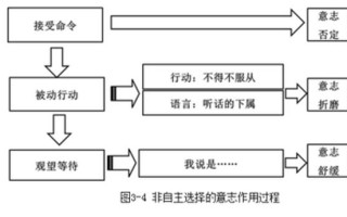 X-Y理论：管理理念的差异剖析