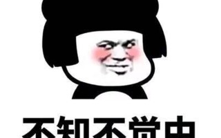 挑剔的意思_挑剔的目光，审视的利剑