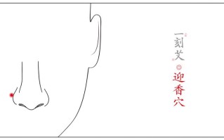 很黄过程动态图—动态图展示艾灸的火热与 *** 