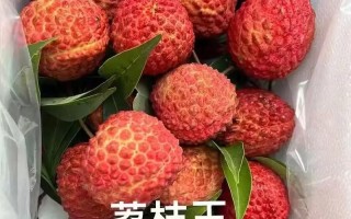 你怎么欺负人呀荔枝很甜txt—霸凌的手段，你为何操控