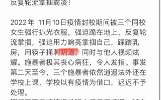少年们请住手：冲破校园霸凌的迷雾