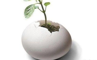 创新思维之光的独特特质