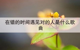 什么叫错的时间遇到对的人_缘逢佳人错光阴