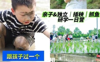 情侣的一百种插秧法(情定稻田：一百种插秧的浪漫舞姿)