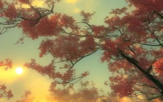 不再相信爱情_爱的幻影，已成过往云烟
