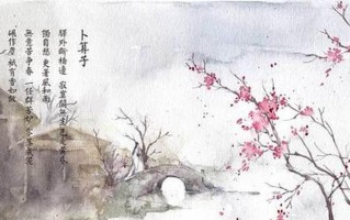 揭秘脆皮鸭文学”的内涵与影响
