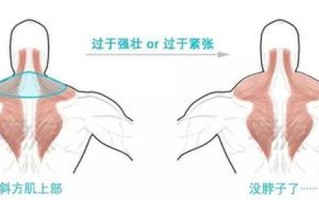 变大变粗的 *** —如何迅速增大尺寸：最强壮最粗长的秘诀