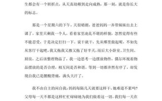 放进去的那一刻是什么歌—取入的刹那，穿越时空的奇遇