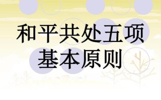 五项基本原则，引领成功之路