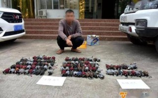 吃男人大鸟硬起来图_肉食鸟类发现人类美食，一柱擎天欲扑咬