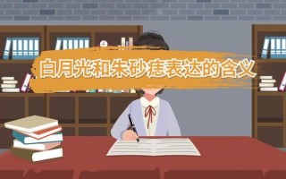 宁做灼目朱砂痣，莫做月影白月光