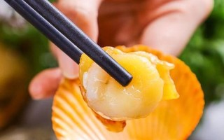 小腿一开 扇贝入口 好吃不过三岁娃娃