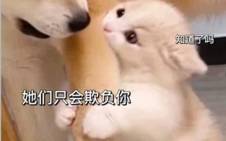 男朋友都是怎样要你的(揭秘男友索要的真正需求)