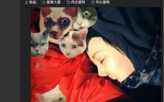 男生C男生—校园禁区：男生C的秘密恋情