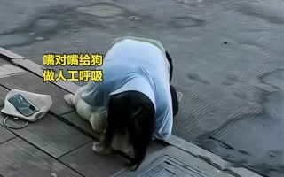 浙江一女子与宠物卡住送去医院_浙女子与宠物卡住送医 医院急救化险为夷