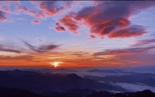 前囟一动一动的(前后动起来，燃爆新节奏)
