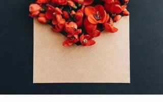 沉默胜过千言：内向者的语言艺术