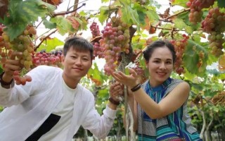 什么叫做男朋友吃葡萄(当男友喂葡萄到嘴边的甜蜜蜜意)