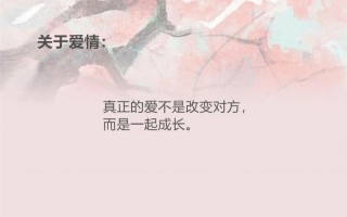 感情是什么(爱之脉络，情之所依)