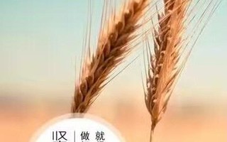 初二不想上学可以干嘛(初二辍学后的多元选择：探索非传统发展道路)
