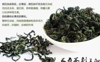 刺五加茶管啥的(揭秘刺五加茶- 性福密码还是虚假宣传？)