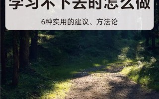 推迟满足感—培养自制力：延迟满足，解锁无限可能