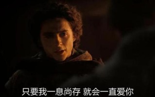 打野寡妇(荒野激战：与宿命伴侣共探迷踪)