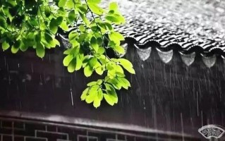 下雨天睡的舒服—雨夜沉睡，香梦悠然