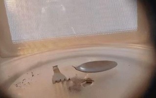 巨物在体内缓缓膨胀，无处可逃